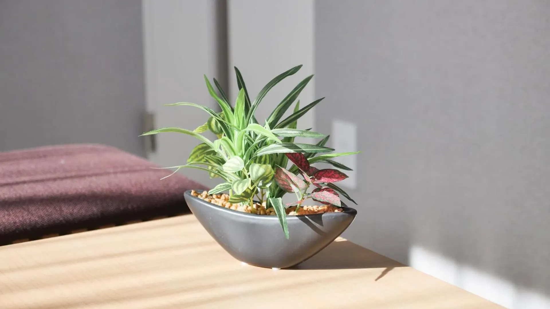 Triphome Nakano 2025 Penthouse Tokyo Apartment